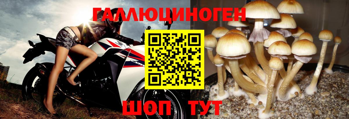 Галлюциногенные грибы ЛСД  закладки  Березники  Вход с VPN 