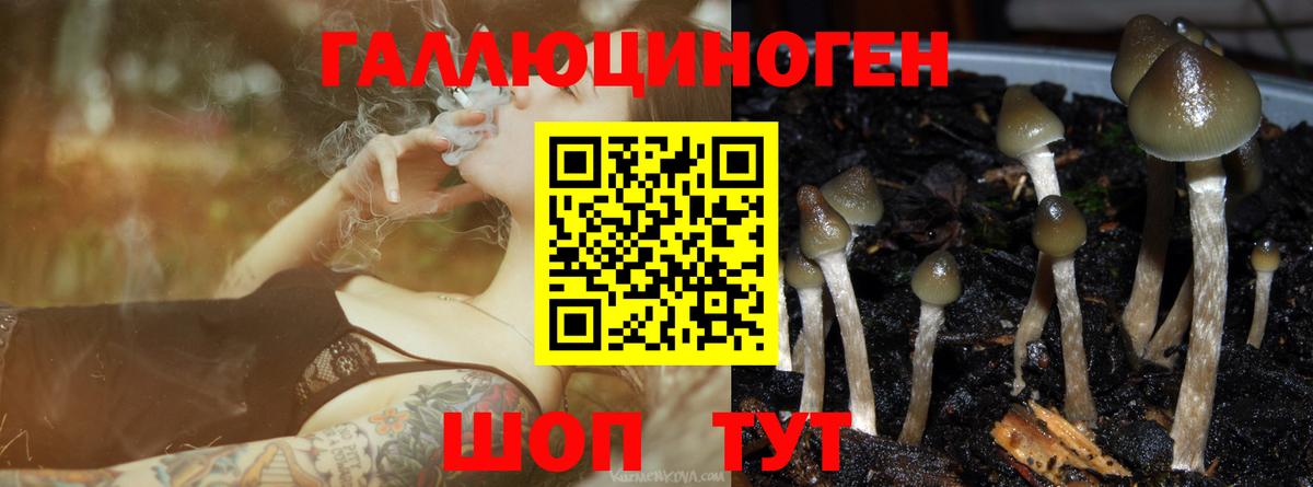 Псилоцибиновые грибы мухоморы Березники